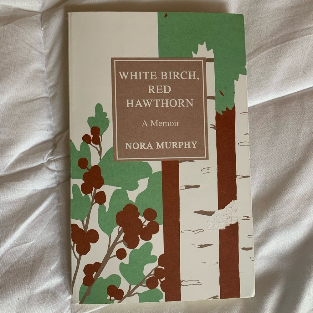 White Birch, Red Hawthorn by Nora Murphy